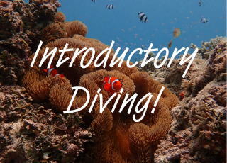 Introductory Diving