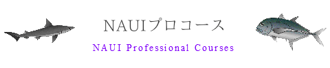 NAUIプロフェッショナルコース NAUI Professional Course