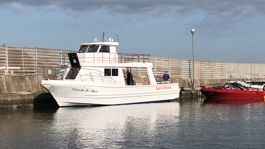 large diving boat