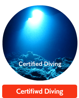 Okinawa Miyakojima Certified Diving