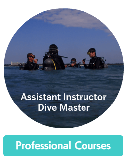Okinawa Miyakojima Diving NAUI Dive Master & Assistant Instructor Courses