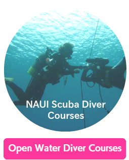 Okinawa Miyakojima Diving NAUI Open Water Diver Courses