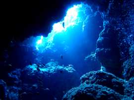 Okinawa Miyakojima Diving Oh! Cave 
