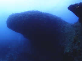 Okinawa Miyakojima Diving Overhang