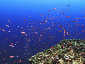 Miyakojima Diving Overhang sea goldie
