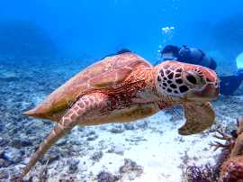 Okinawa Miyakojima Diving Shigira Beach