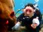 Okinawa Miyakojima Diving Shigira Beach Tomato anemonefish