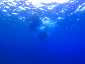 Miyakojima Diving Surgeon Reef Manta ray