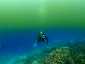 Okinawa Diving Tori Pond Chemocline