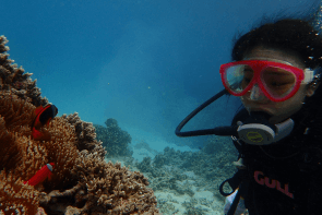 Okinawa Miyakojima Beach Diving Tomato Anemonefish