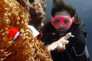 Okinawa Miyakojima Diving Tomato Anemonefish