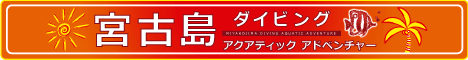 宮古島ダイビング アクアティックアドベンチャー