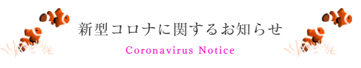 新型コロナに関するお知らせ　Coronavirus Notice