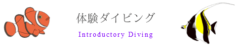 宮古島で体験ダイビング