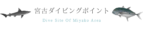 宮古島のダイビングポイント