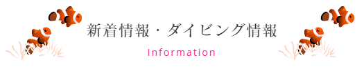 新着情報・ダイビング情報　Information