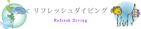 宮古島でリフレッシュダイビング