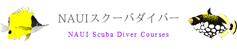 宮古島でNAUIオープンウォーターダイバーコース