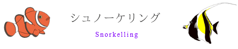 宮古島でシュノーケリング