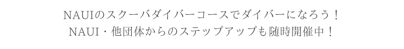 NAUIのオープンウォーターダイバーコースでダイバーになろう！ NAUI・他団体からのステップアップも随時開催中！